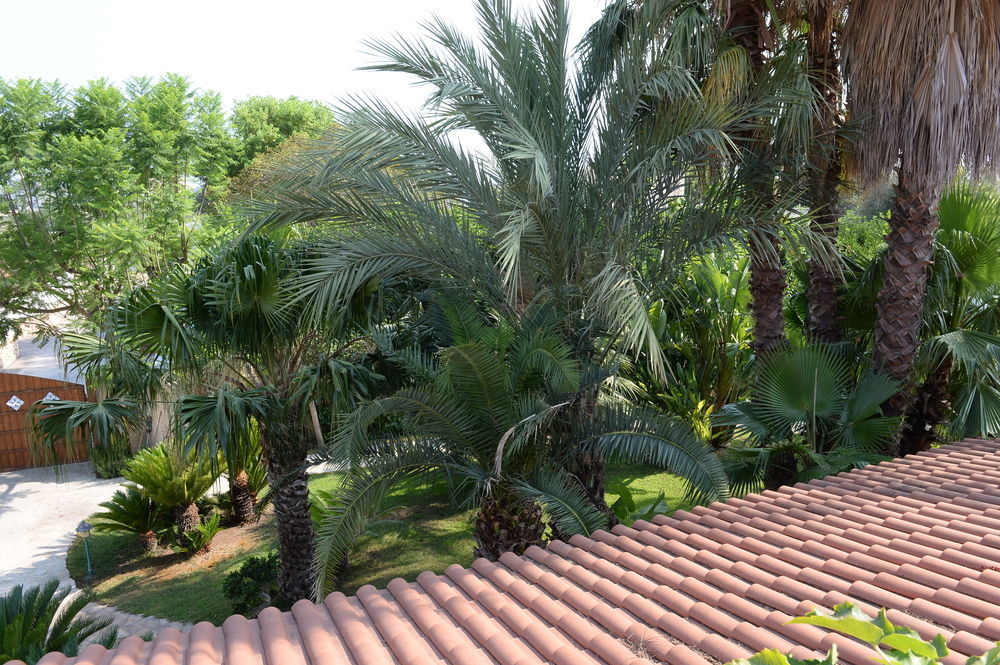 Il Giardino Delle Jacaranda 3* Talsano
